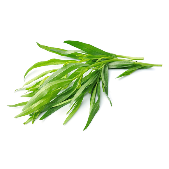 Herbs / Tarragon